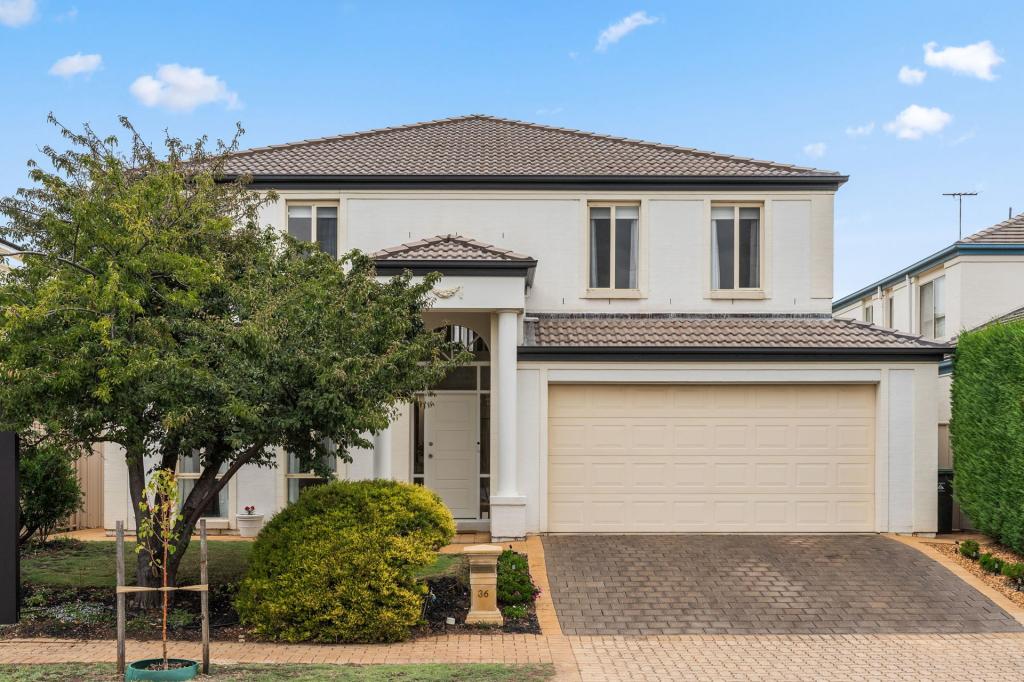 36 Chittleborough Cct, Morphettville, SA 5043