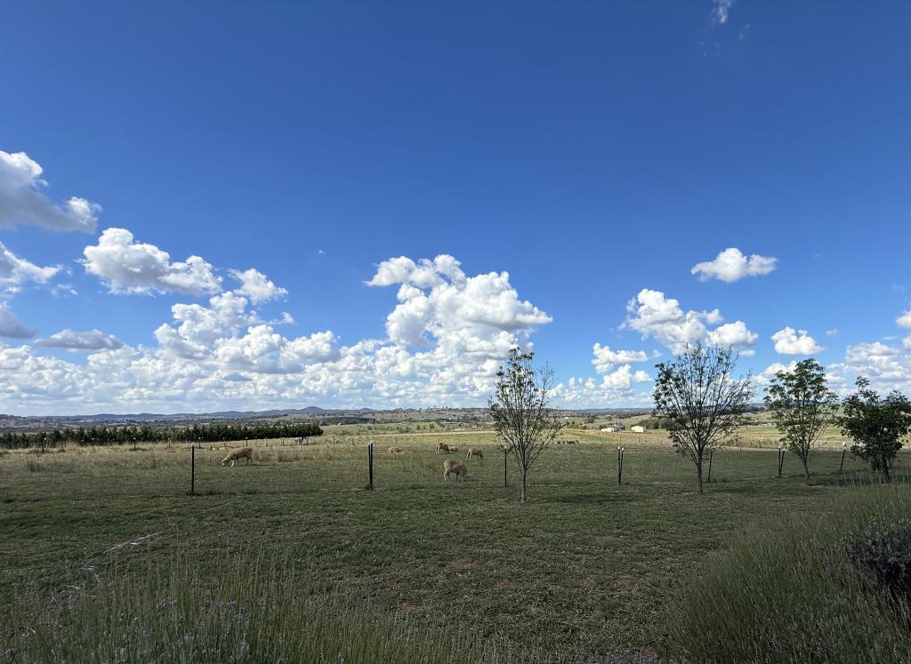 6 O'Hurley Dr, Marchmont, NSW 2582