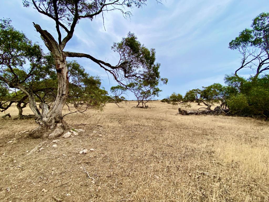 Allotments 279 To 285 Aitchison Rd, Streaky Bay, SA 5680