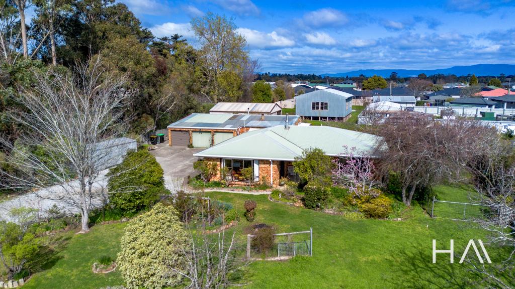 51 Lewis St, Longford, TAS 7301