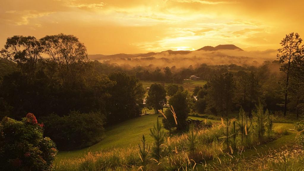 Contact Agent For Address, Eumundi, QLD 4562