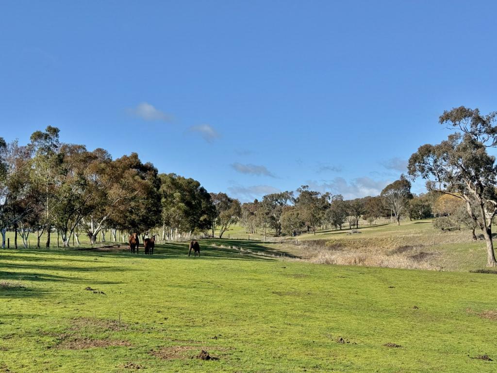 77 Newton Rd, Young, NSW 2594