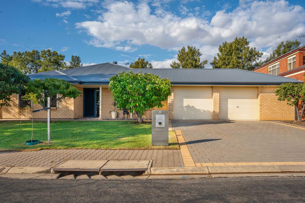 19 Birch Ave, Salisbury East, SA 5109