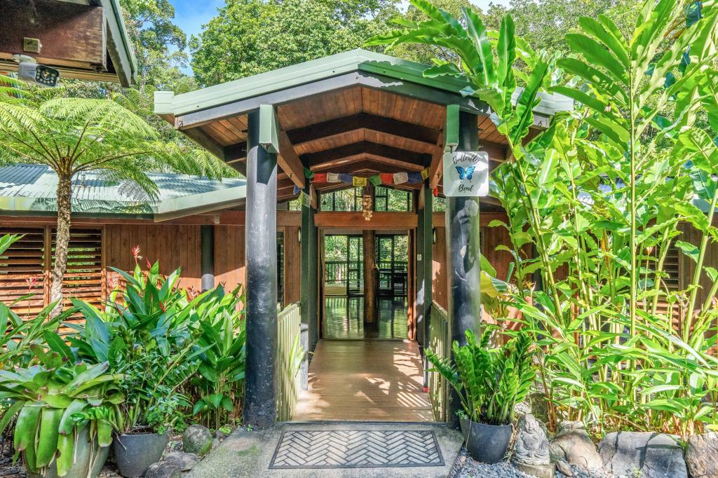 472 Buchanan Creek Road, Cow Bay, Daintree, QLD 4873