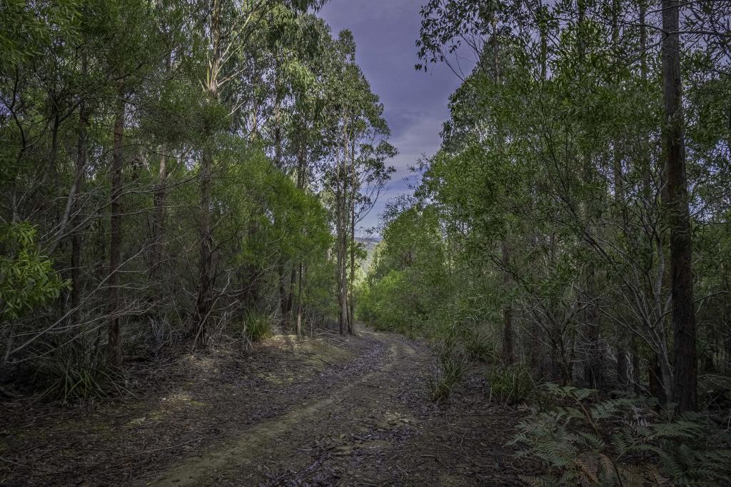 Contact Agent For Address, Judbury, TAS 7109