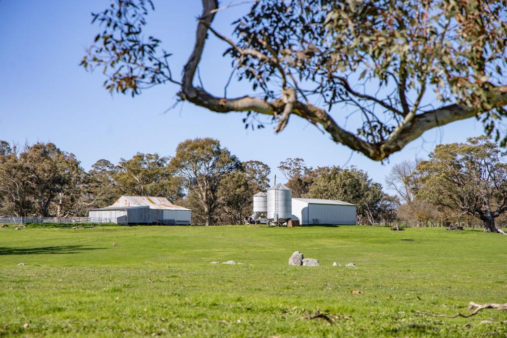 "Cottage Farm" 1001 Cooks Hill Rd, Yass, NSW 2582