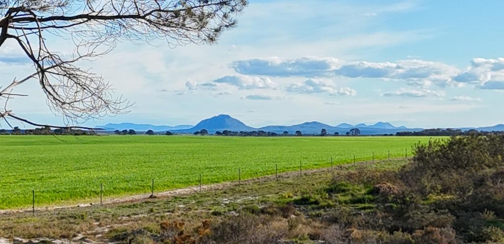109 ORCHID RD, HOPETOUN, WA 6348