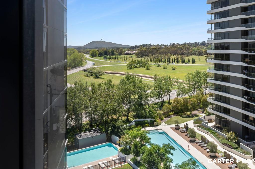 81/11 IRVING ST, PHILLIP, ACT 2606