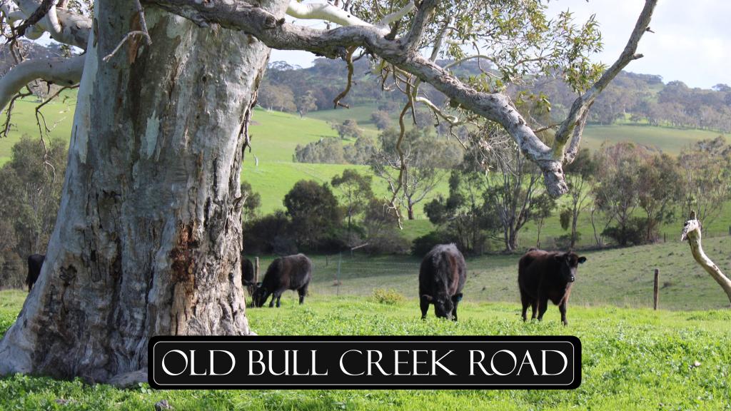 Lot 2 Old Bull Creek Rd, Strathalbyn, SA 5255