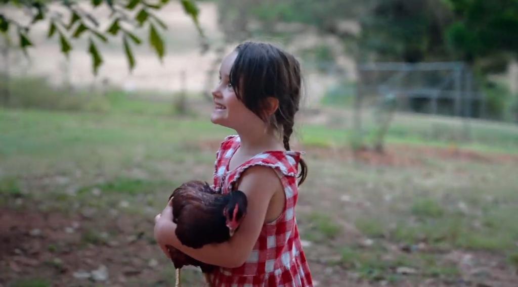 140 Long Rd, Pie Creek, QLD 4570