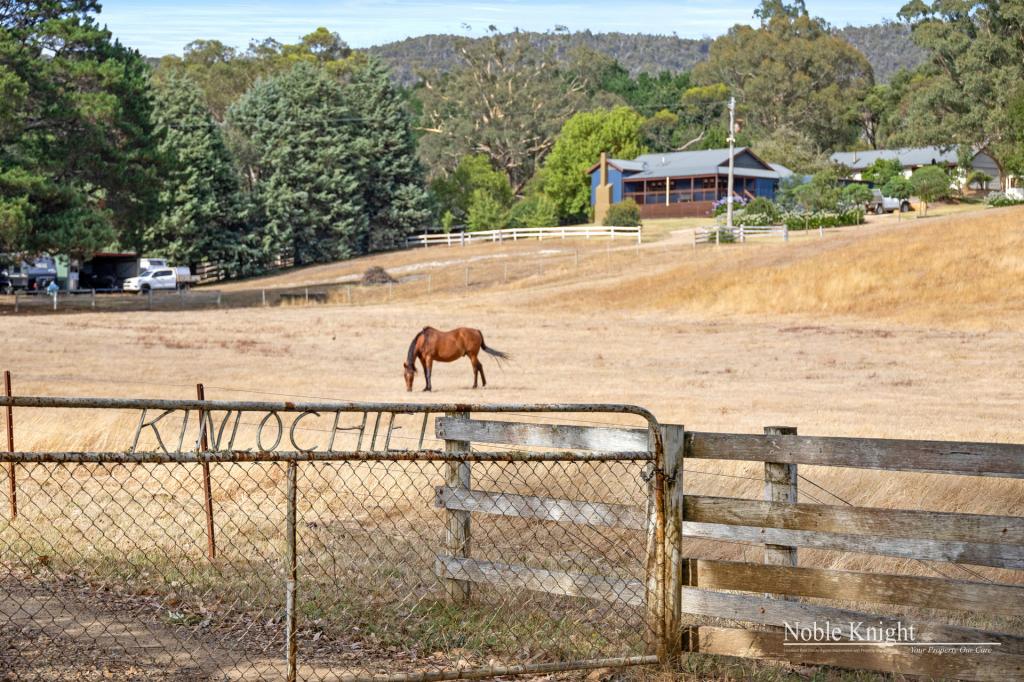 320 Moores Rd, Flowerdale, VIC 3717