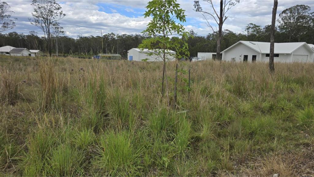 178 Brimbin Rd, Brimbin, NSW 2430