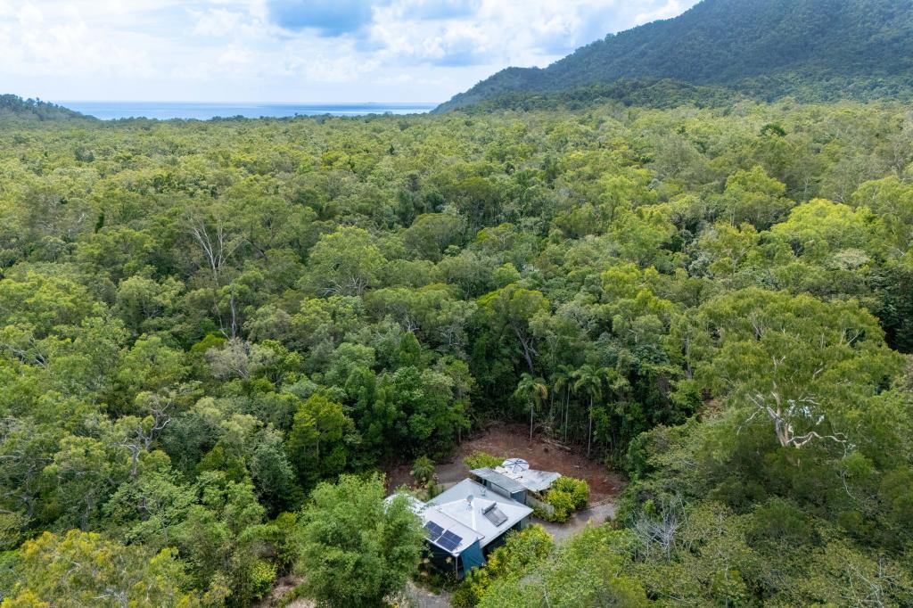59-101 Quandong Road, Cow Bay, Daintree, QLD 4873
