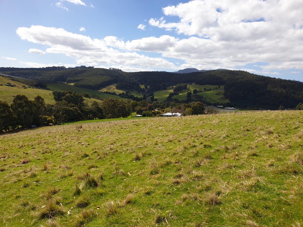 79 Wallace Rd, Cygnet, TAS 7112