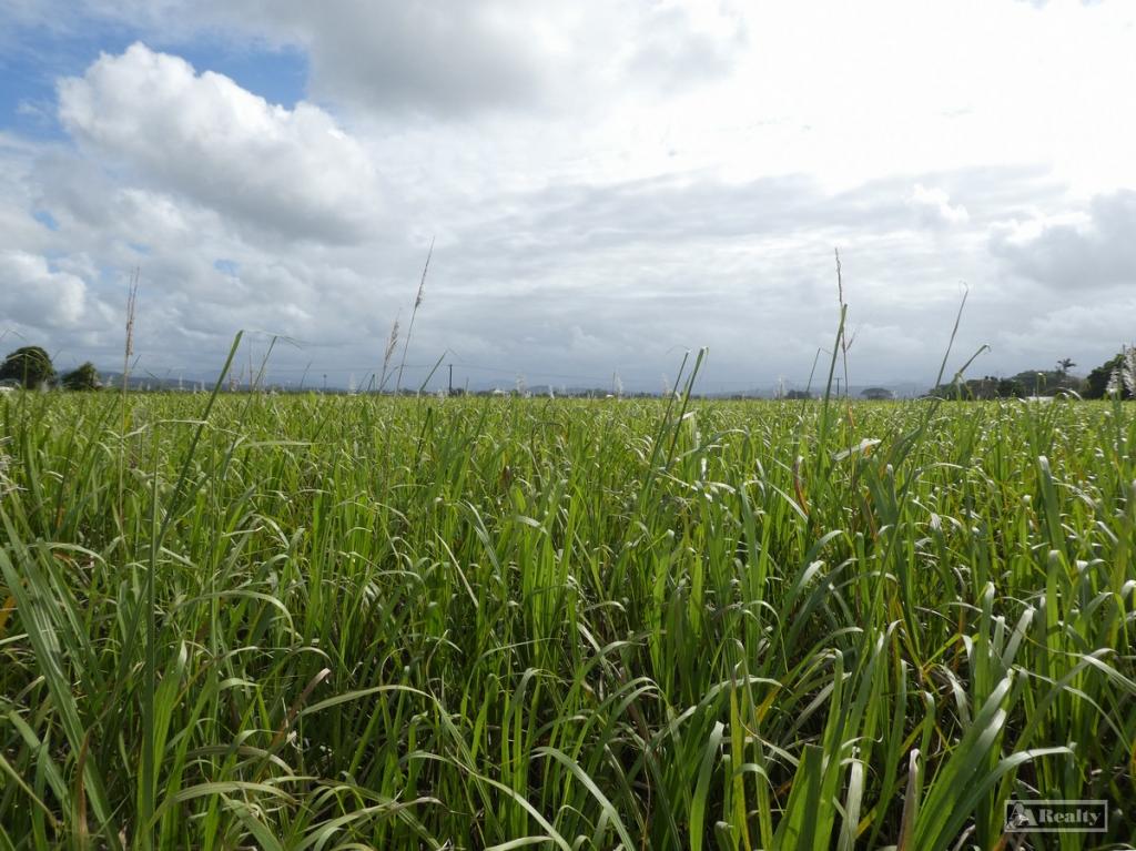 Lot 2 Goondi Mill Rd, Goondi Bend, QLD 4860