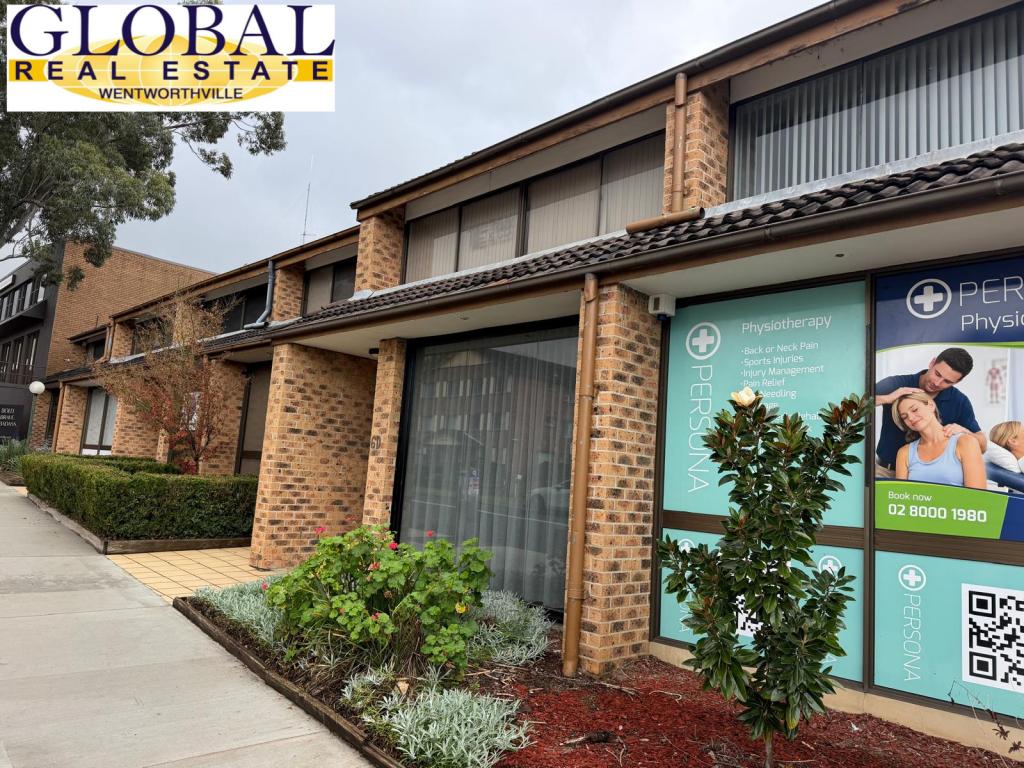 6 Villiers St, Parramatta, NSW 2150