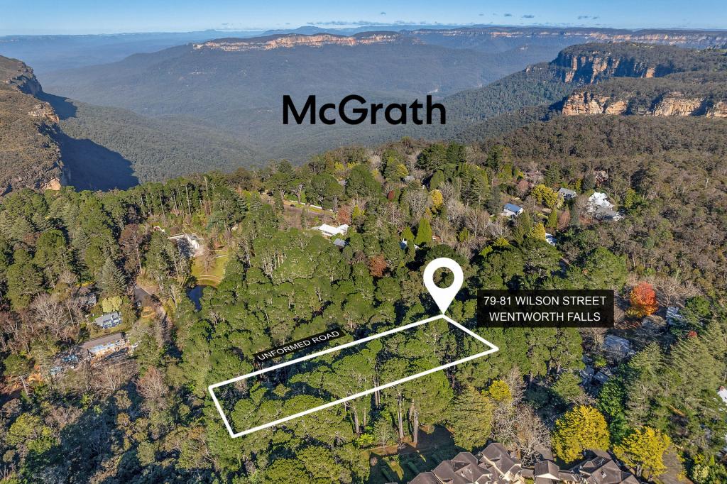 79-81 Wilson St, Wentworth Falls, NSW 2782