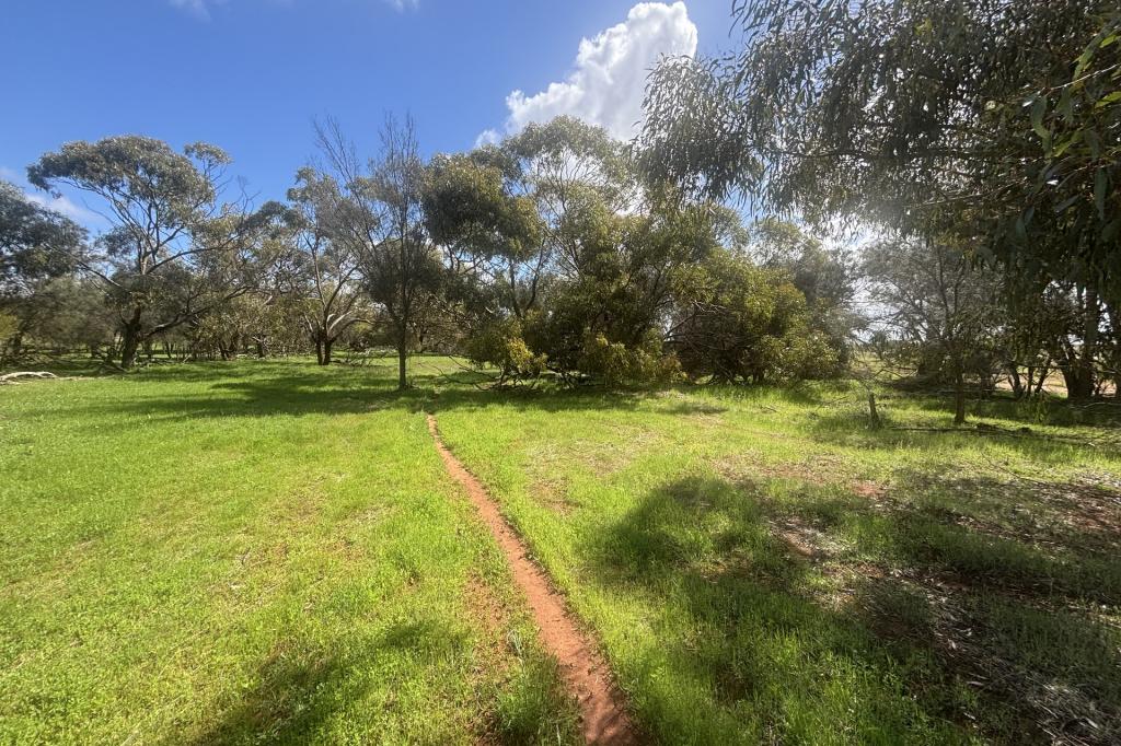 768 Nangerwalla Rd, Nunierra, WA 6630