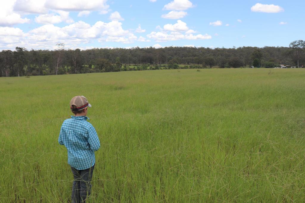 'Reece Park' 110 Greentree Lane, Beeron, Mundubbera, QLD 4626