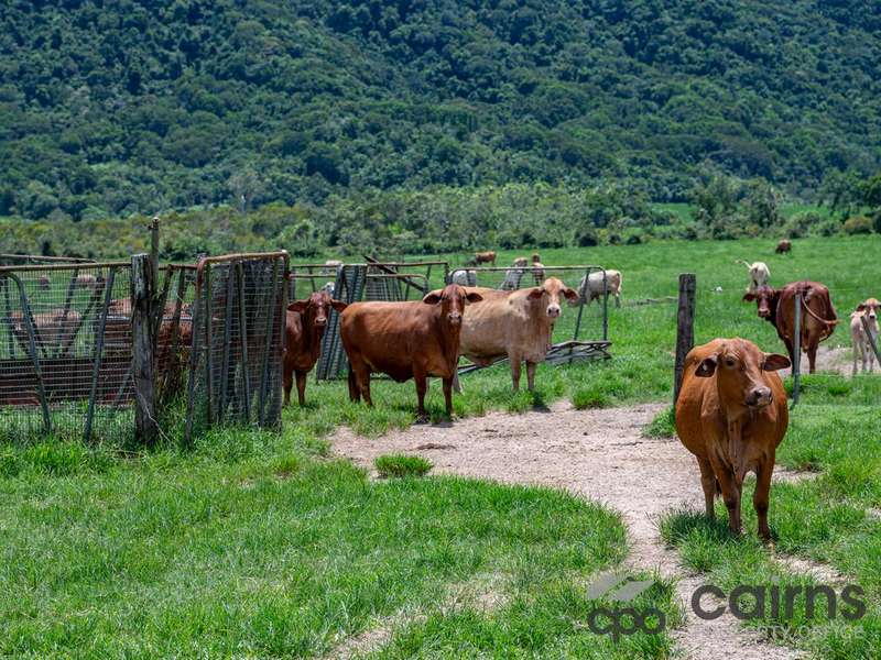 LOT 3/505 MOURILYAN HARBOUR RD, MOURILYAN HARBOUR, QLD 4858