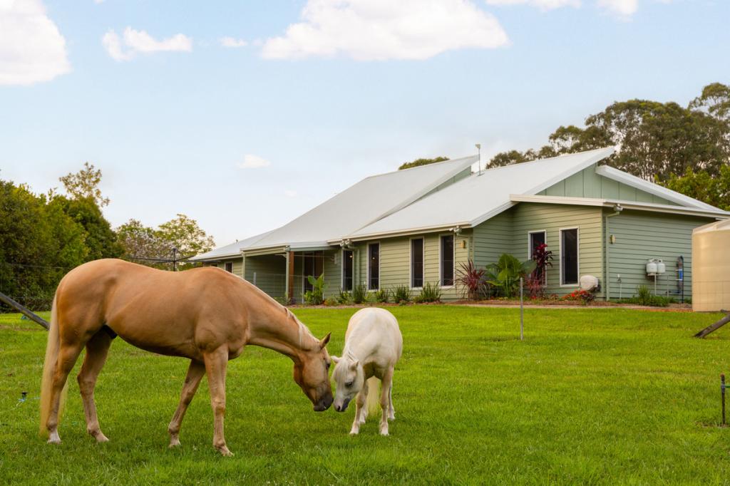 48 Hamilton Cl, Mooloolah Valley, QLD 4553