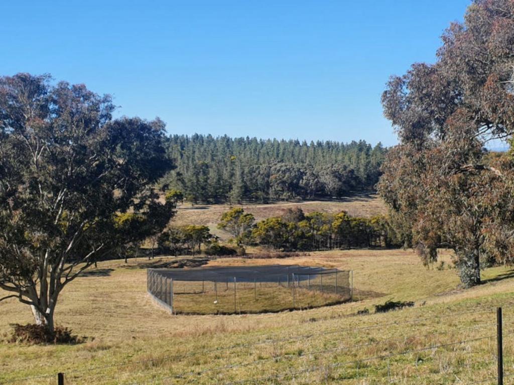 2988 Mayfield Rd, Tarago, NSW 2580