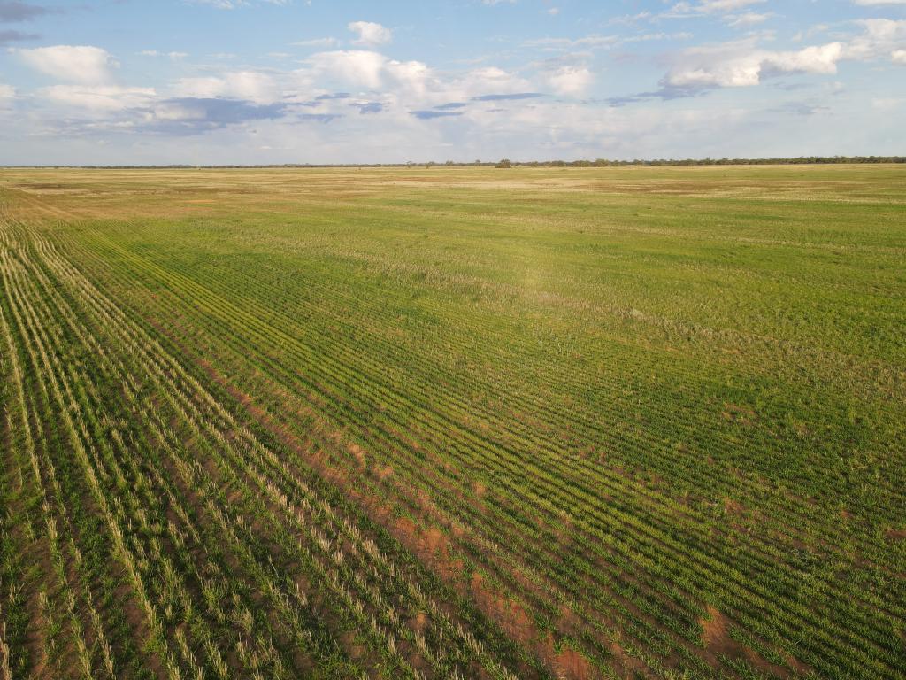 275 James Rd, Bael Bael, VIC 3579