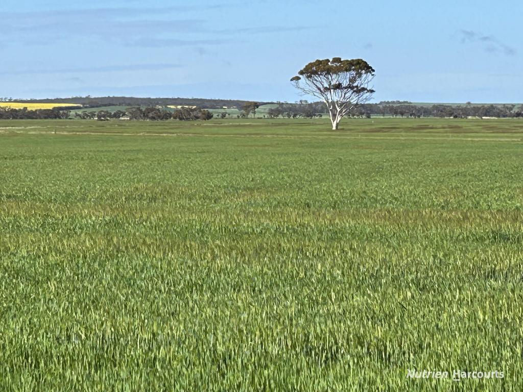 10075 HOPKINS RD, KULIN, WA 6365