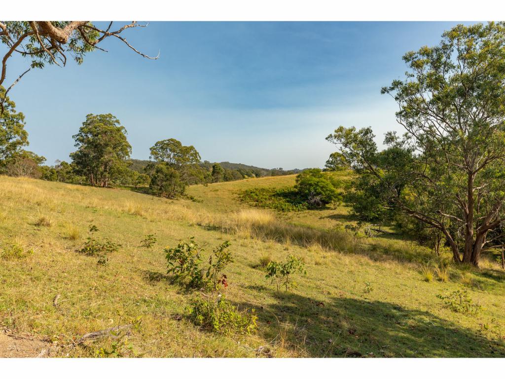 3773 The Bucketts Way, Krambach, NSW 2429