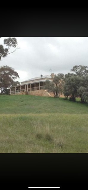 158 Yakilo Homestead Rd, Spalding, SA 5454