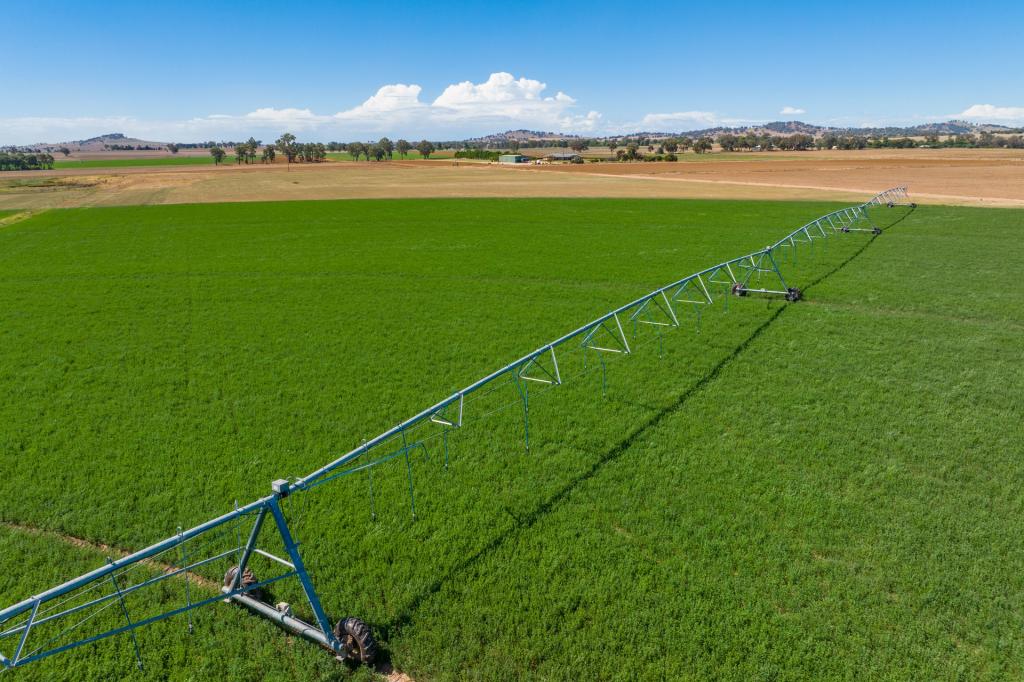 North Logan Rd, Cowra, NSW 2794