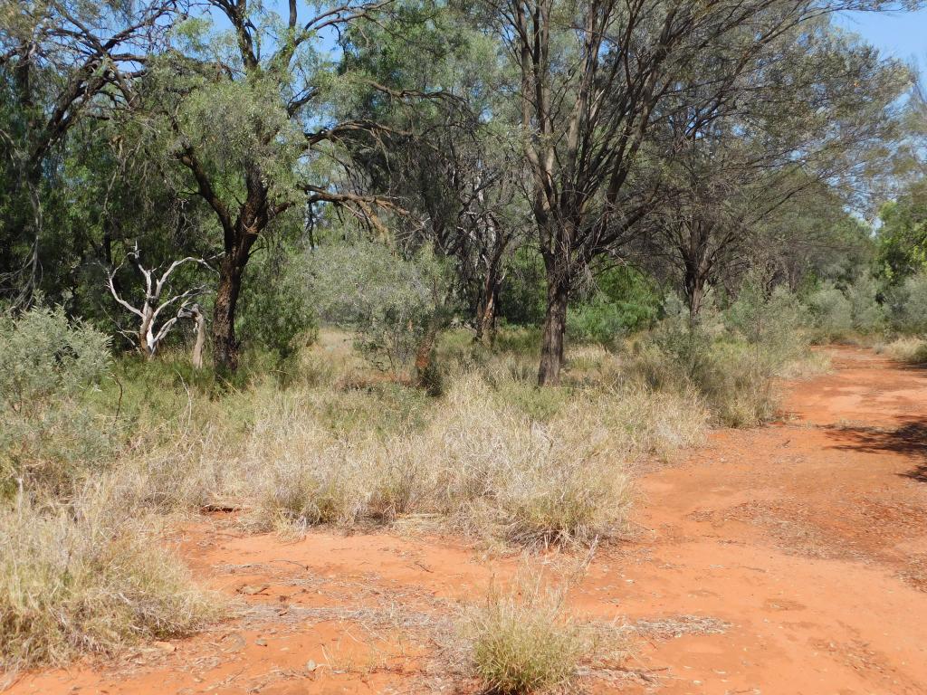 Lot 5 Mitchell Hwy, Charleville, QLD 4470