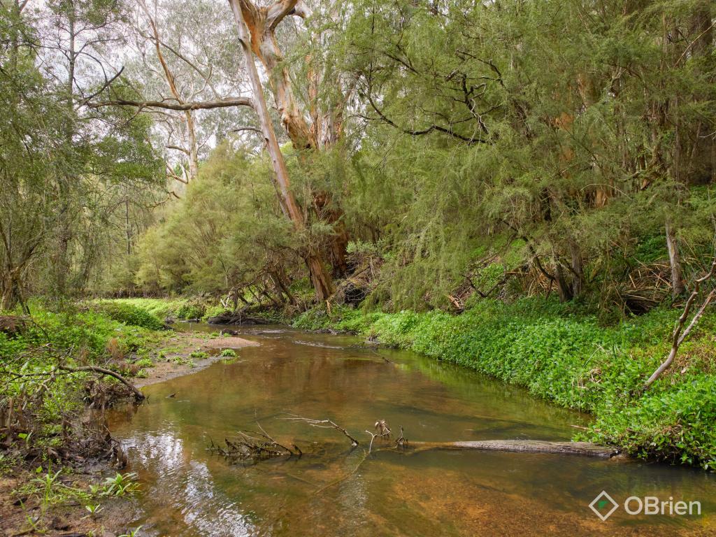 11 Whytes Pl, Neerim South, VIC 3831