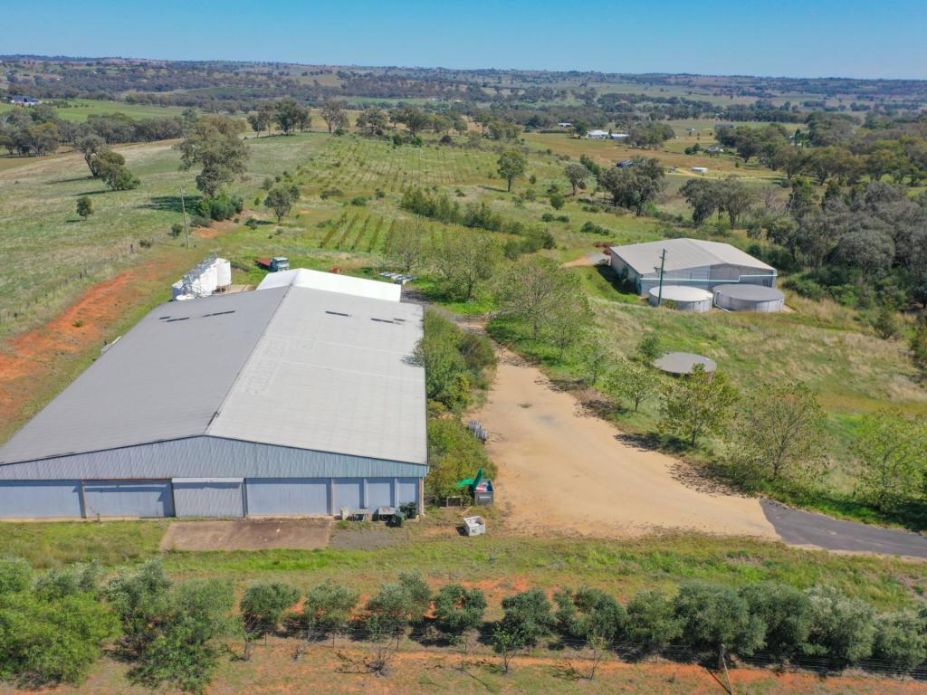 285 Henry Lawson Way, Young, NSW 2594