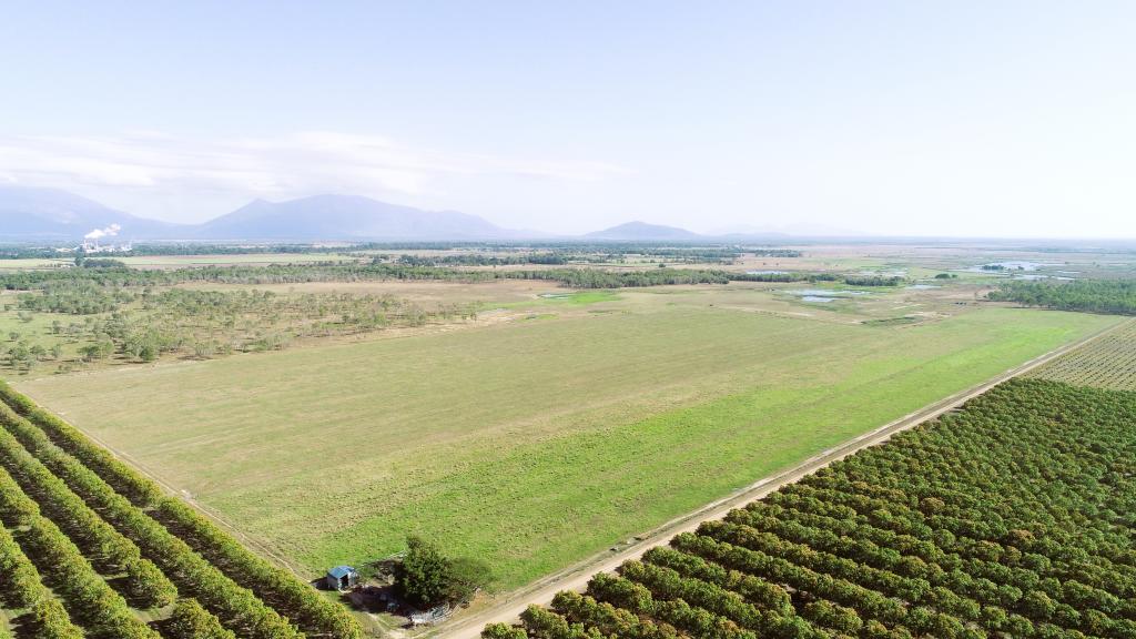 3 Comiskey Rd, Horseshoe Lagoon, QLD 4809