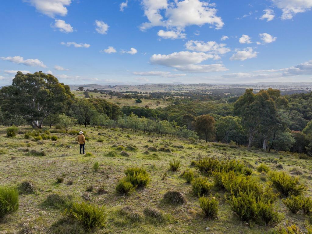 "Sheldricks Range" Sheldricks Lane, Jerrawa, NSW 2582