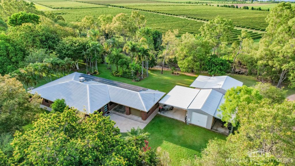 406 SPRINGS RD, PADDYS GREEN, QLD 4880