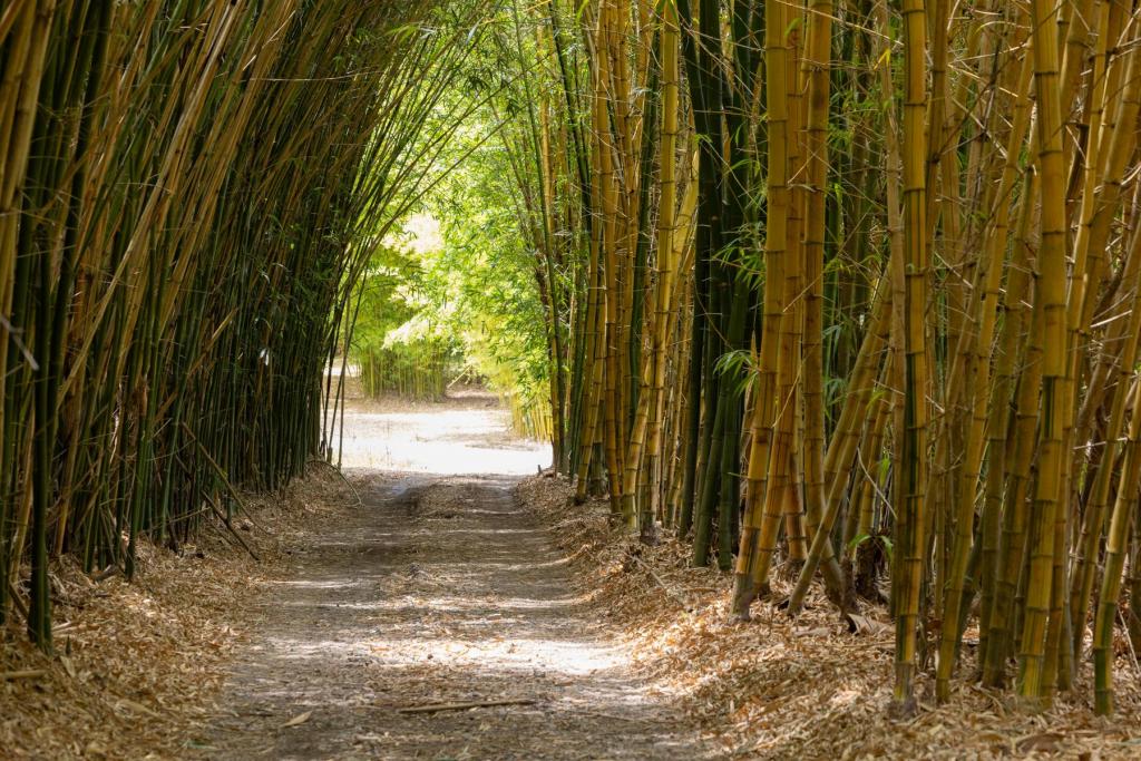 1171 Eumundi - Kenilworth Rd, Eerwah Vale, QLD 4562