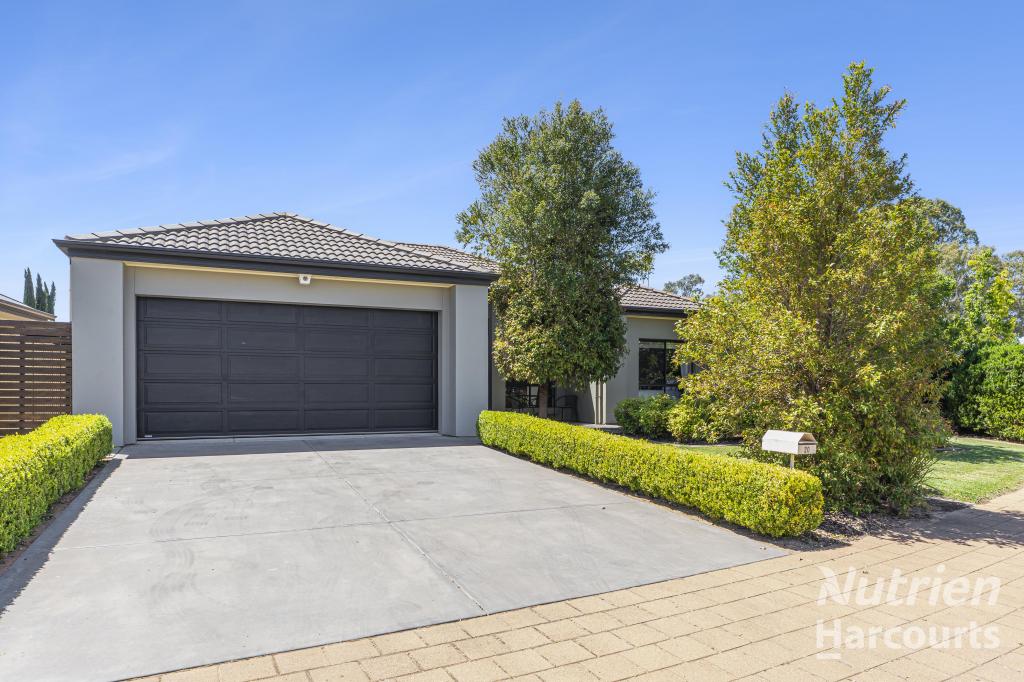 20 Ian Showell Dr, Renmark, SA 5341