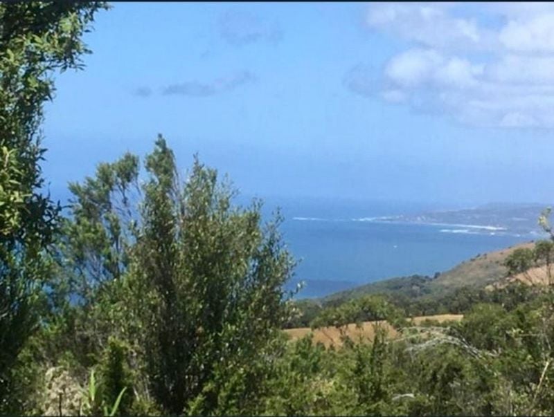 340 Sunnyside Rd, Wongarra, VIC 3234