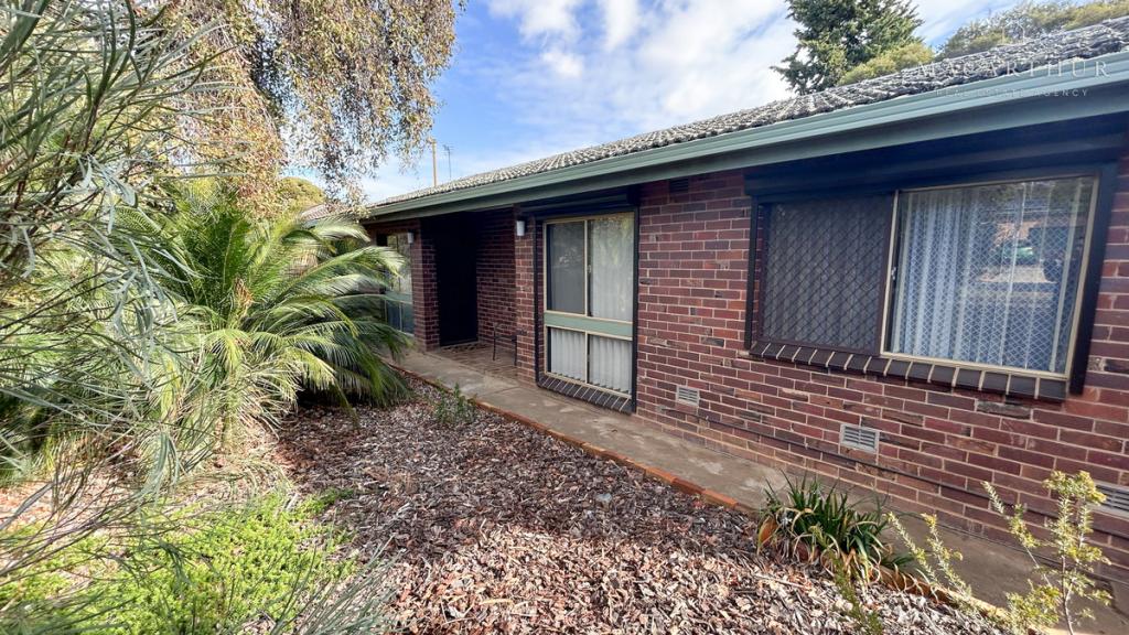 1/50 Raye St, Tolland, NSW 2650