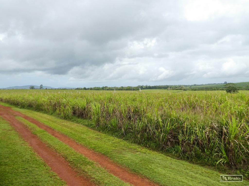 Contact Agent For Address, Bamboo Creek, QLD 4860