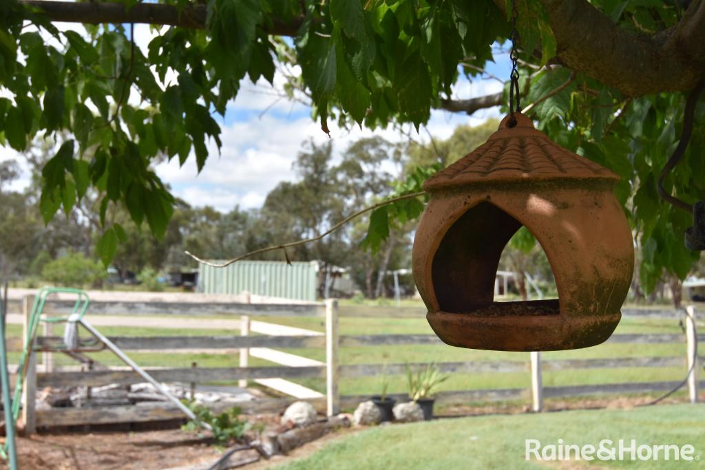 962 Polhill Rd, Wellingrove, NSW 2370