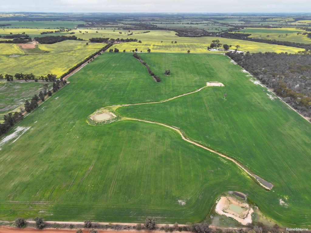 124 Highbury East Rd, Highbury, WA 6313