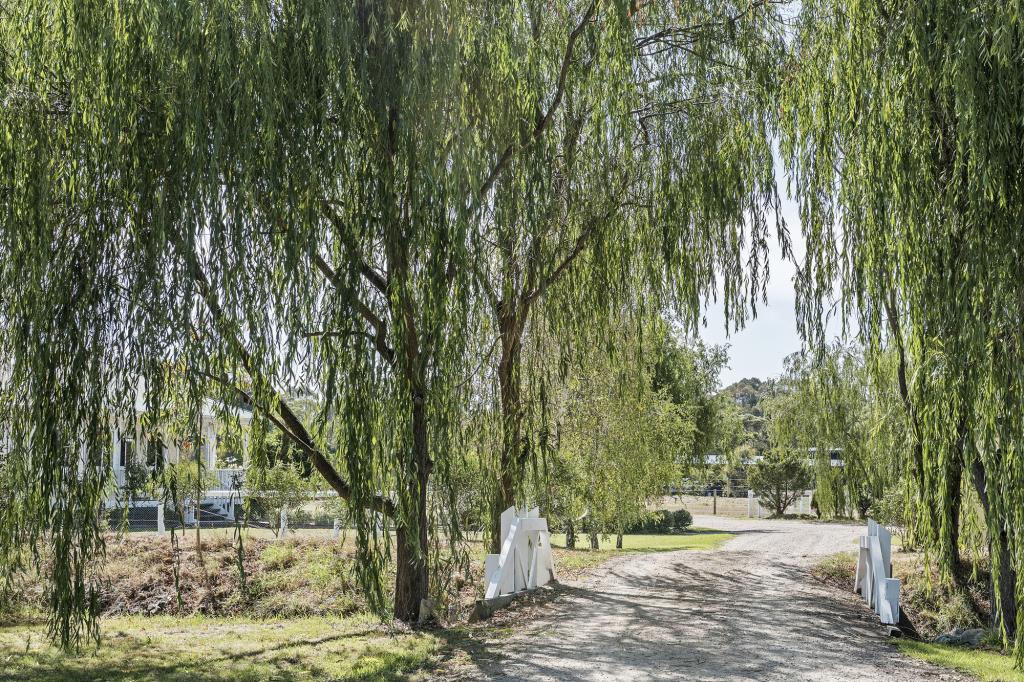 3c Carpenters Lane N, Hastings, VIC 3915