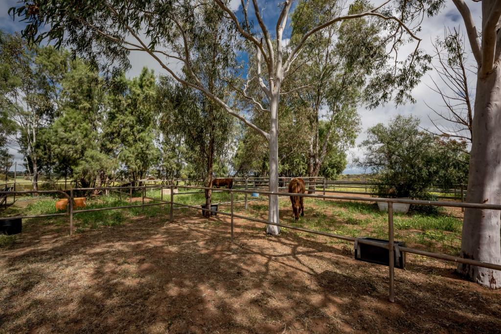 5 Hill River Way, Moonyoonooka, WA 6532