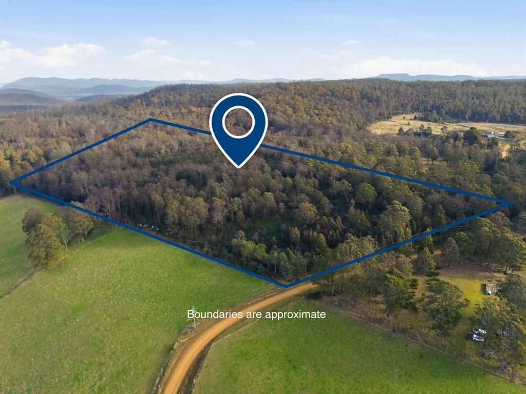 NEW COUNTRY MARSH RD, LEVENDALE, TAS 7120
