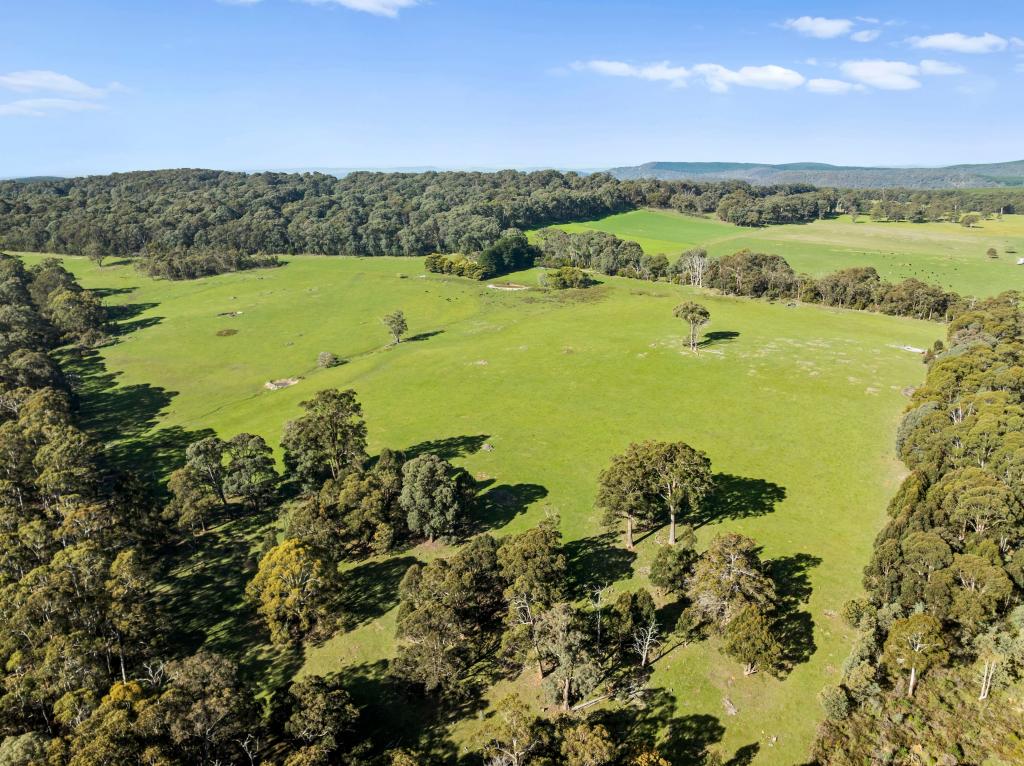 1028 Upper Boho Rd, Boho South, VIC 3669