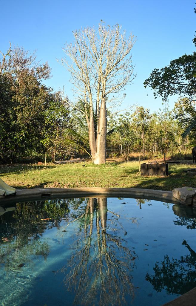 729 Reebeds Rd, Darwin River, NT 0841