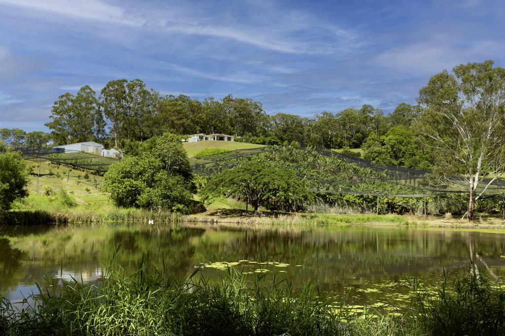 654 Blackall Range Rd, West Woombye, QLD 4559